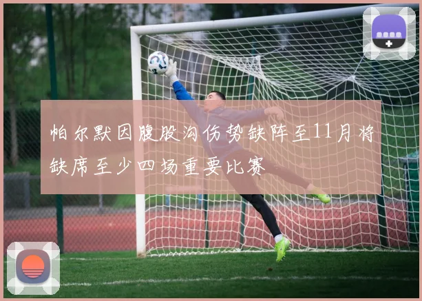 帕尔默因腹股沟伤势缺阵至11月将缺席至少四场重要比赛