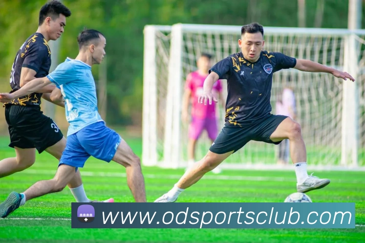 OD体育平台生态图