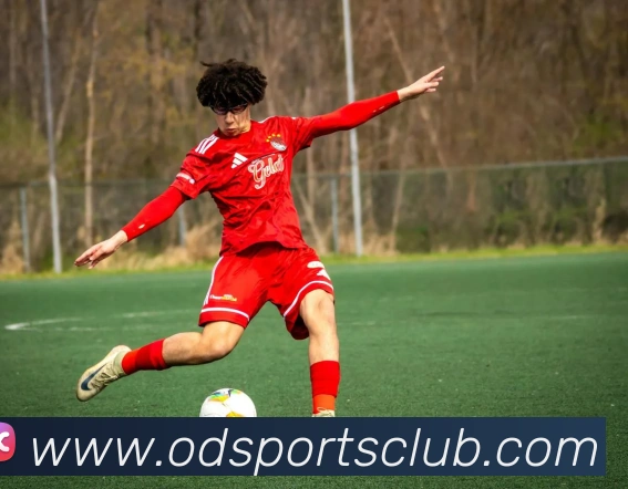 OD体育APP 封面图